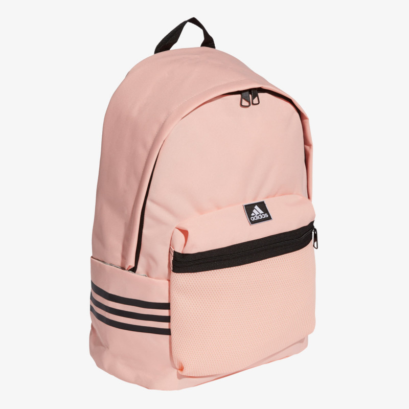 Clas 2025 bp 3s
