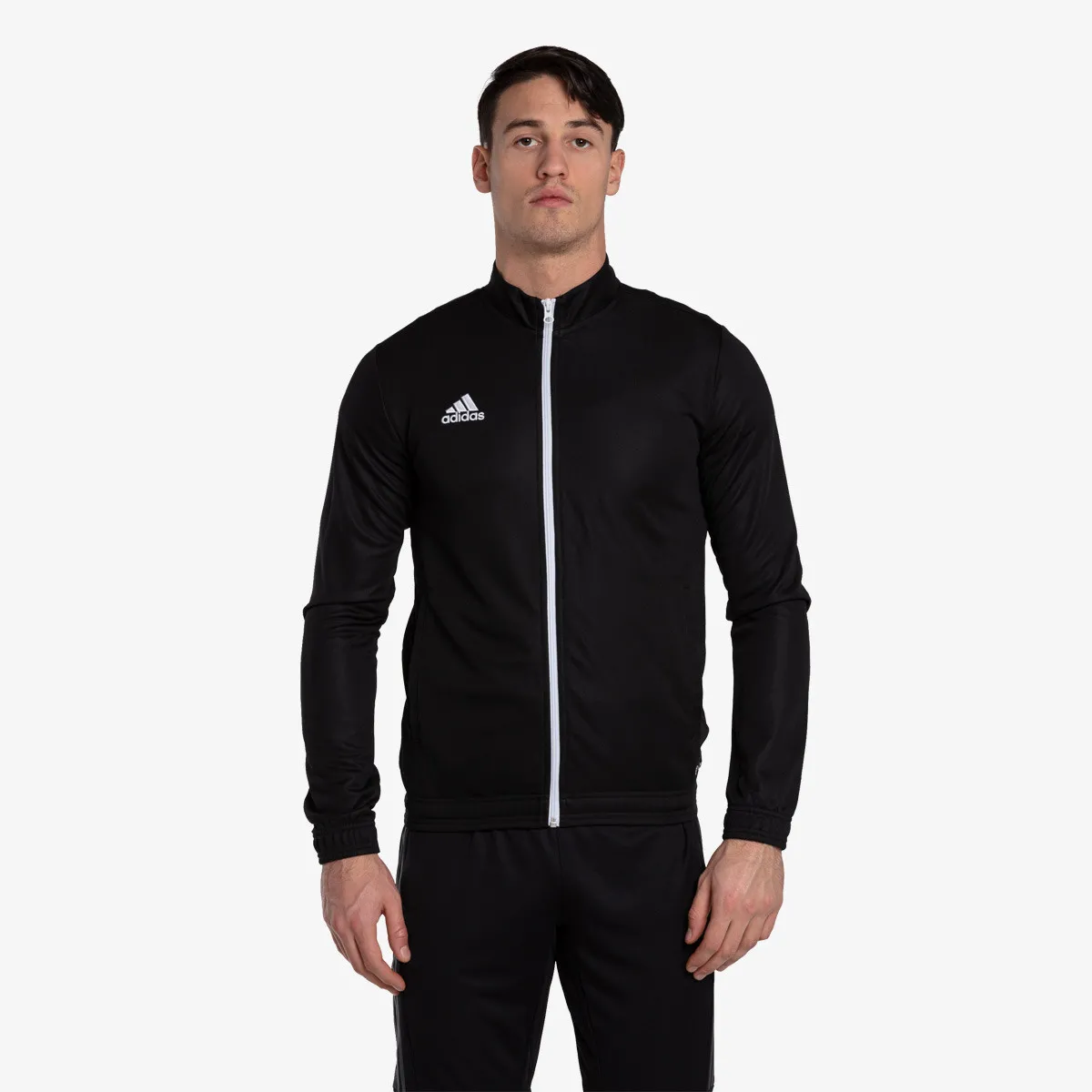 ADIDAS Dukserica Entrada 22
