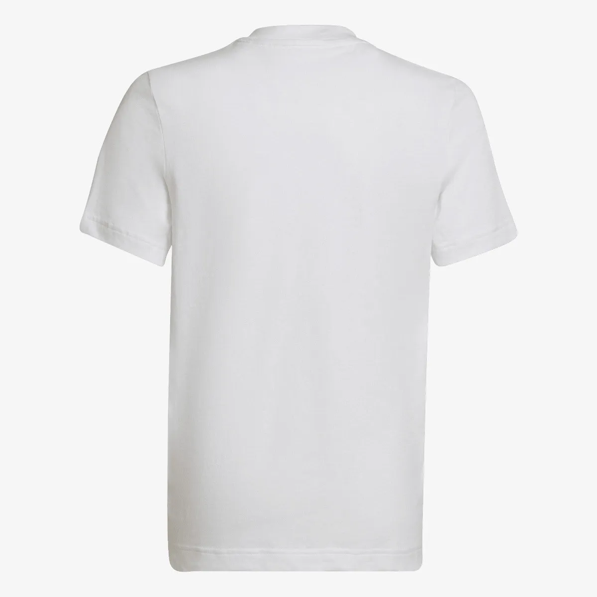 ADIDAS Majica ENT22 TEE Y