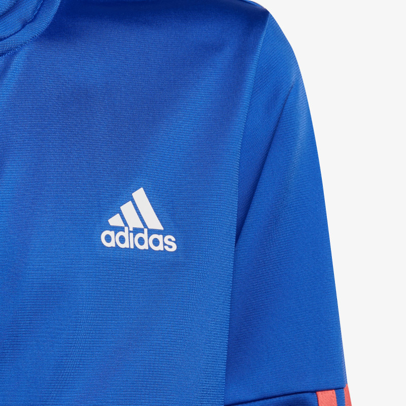 ADIDAS Trenerka TEAM