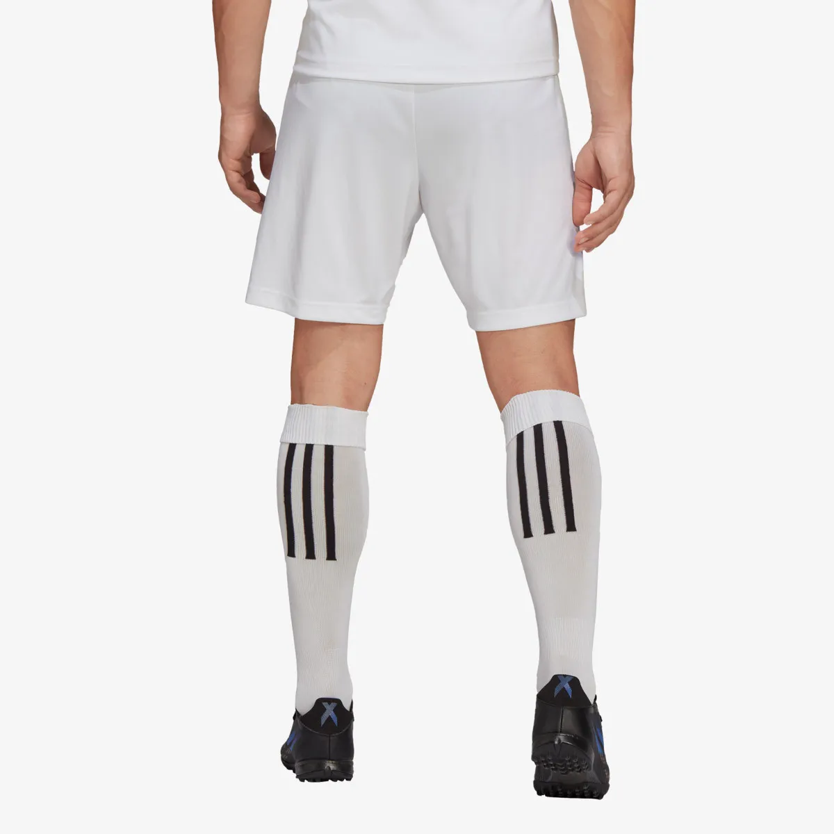 ADIDAS Šorc Entrada 22