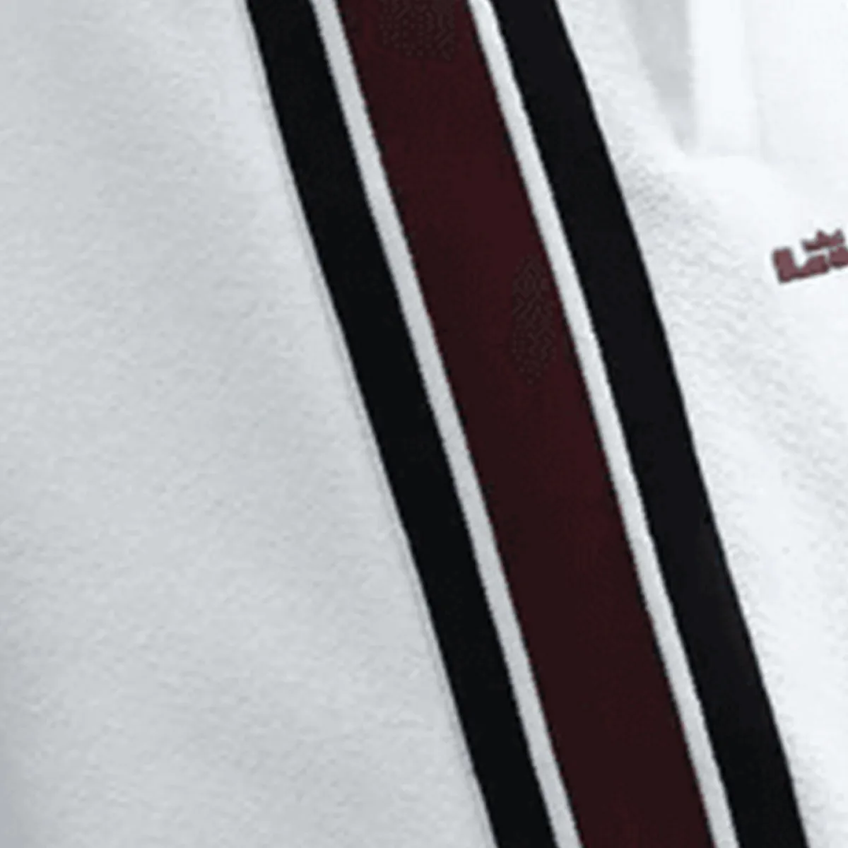 NIKE Donji deo trenerke LeBron Standard Issue Therma-FIT 