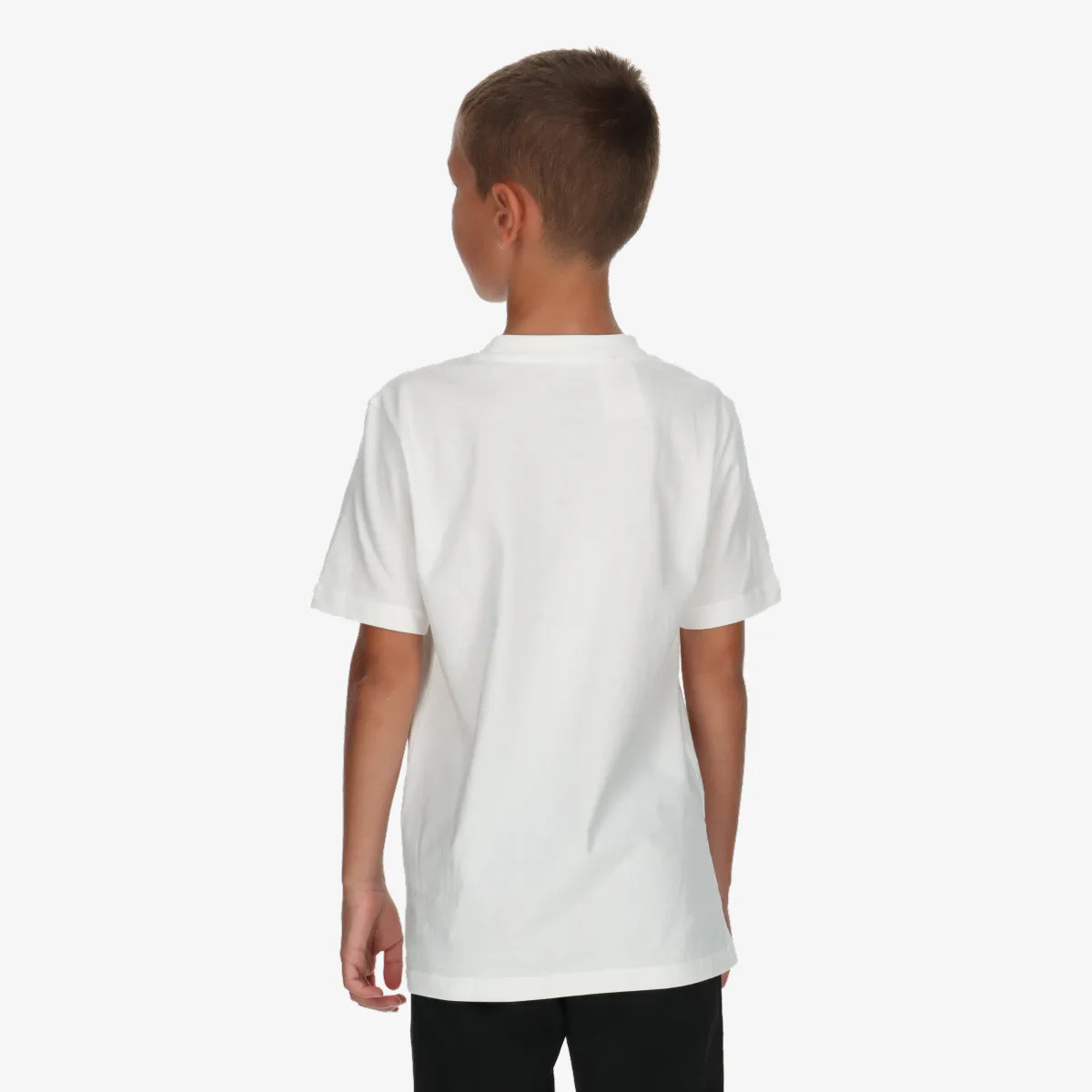 ADIDAS Majica Essentials Big Logo