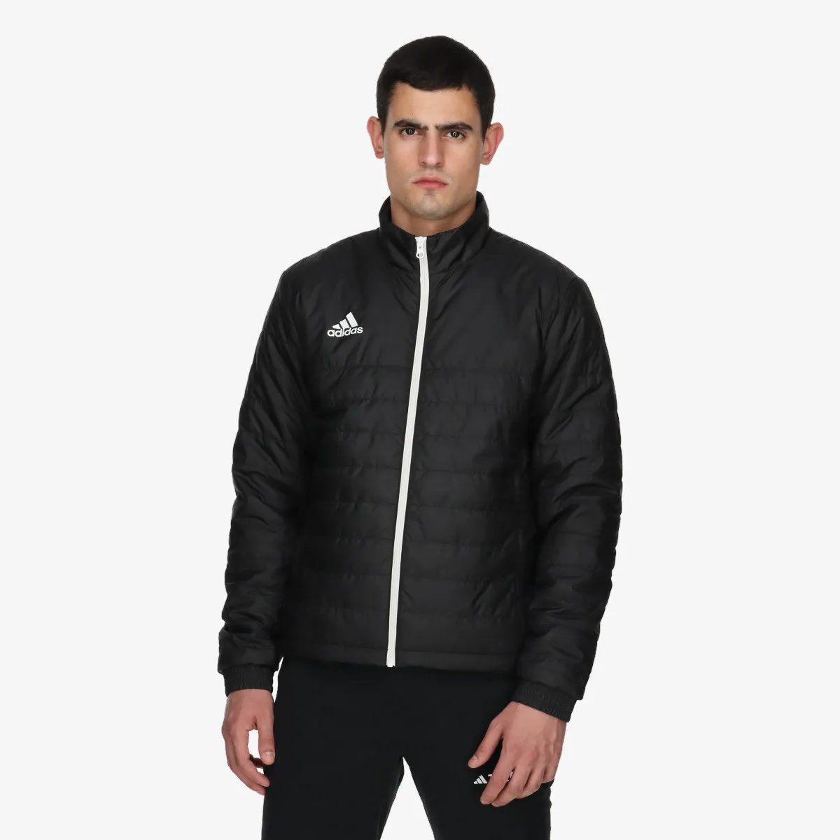 ADIDAS Jakna ENTRADA 22