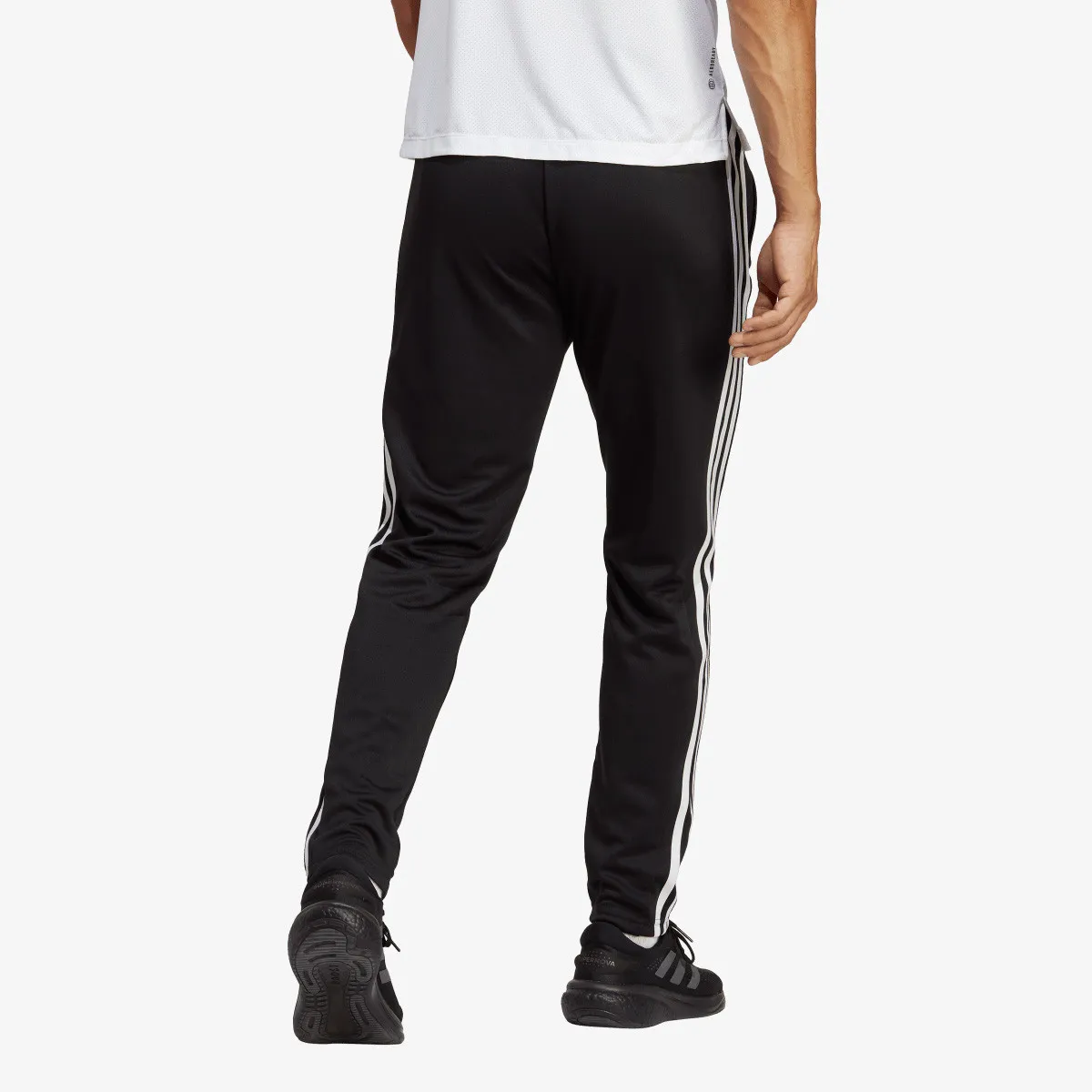 ADIDAS Donji deo trenerke Train Essentials