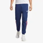 ADIDAS Donji deo trenerke Train Icons 3-Stripes 