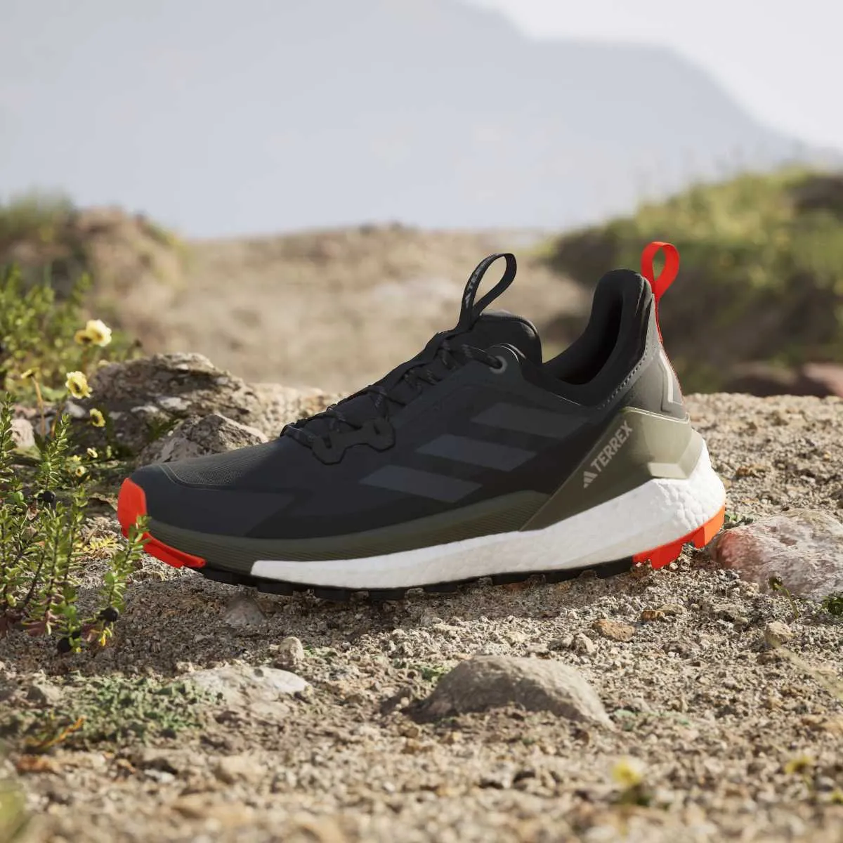 ADIDAS Patike Terrex Free Hiker 2 Low