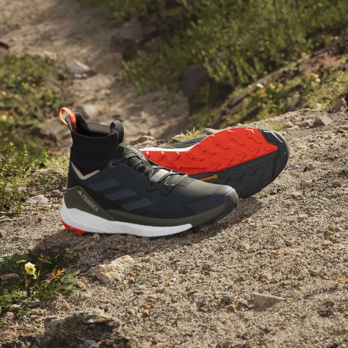 ADIDAS Patike Terrex Free Hiker 2