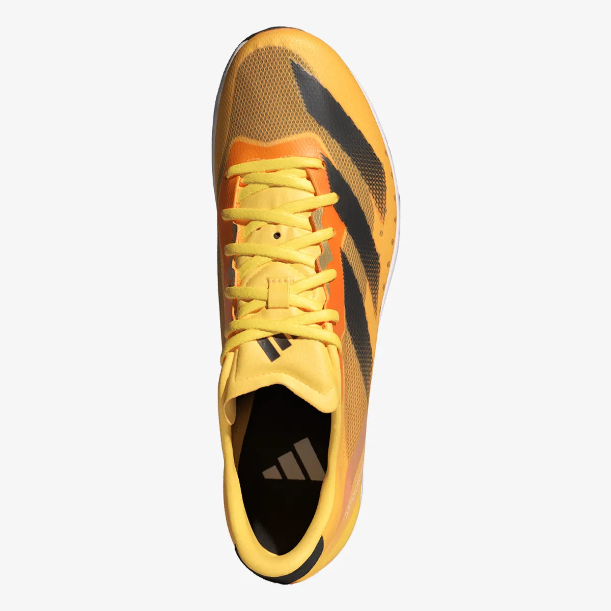 ADIDAS SPRINTERICE Distancestar