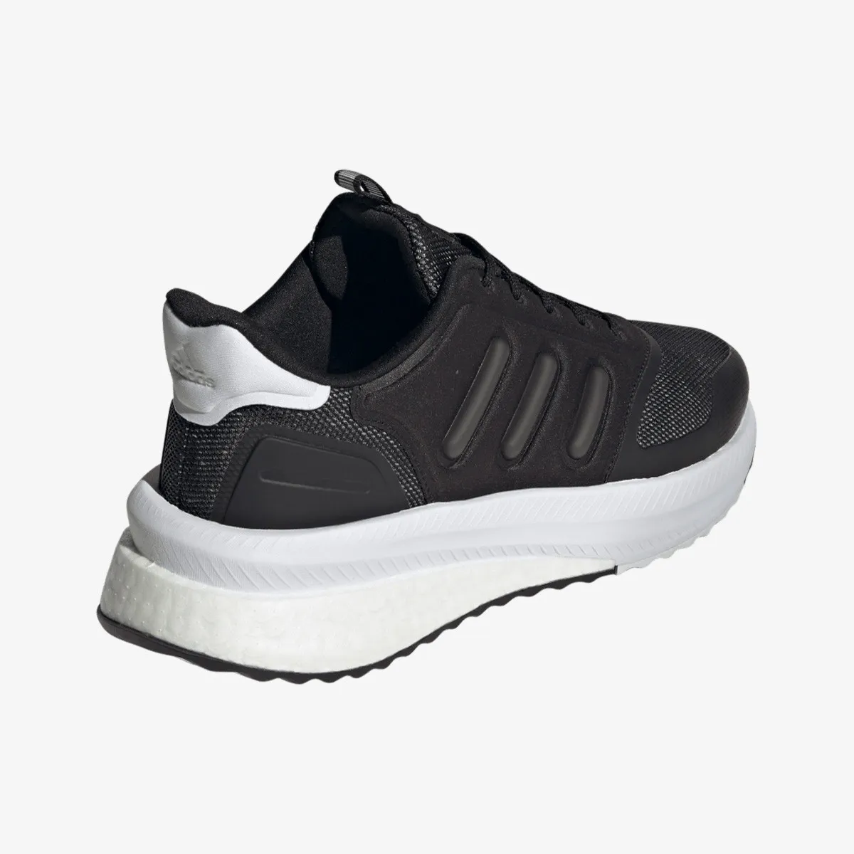ADIDAS Patike X_Plrphase 