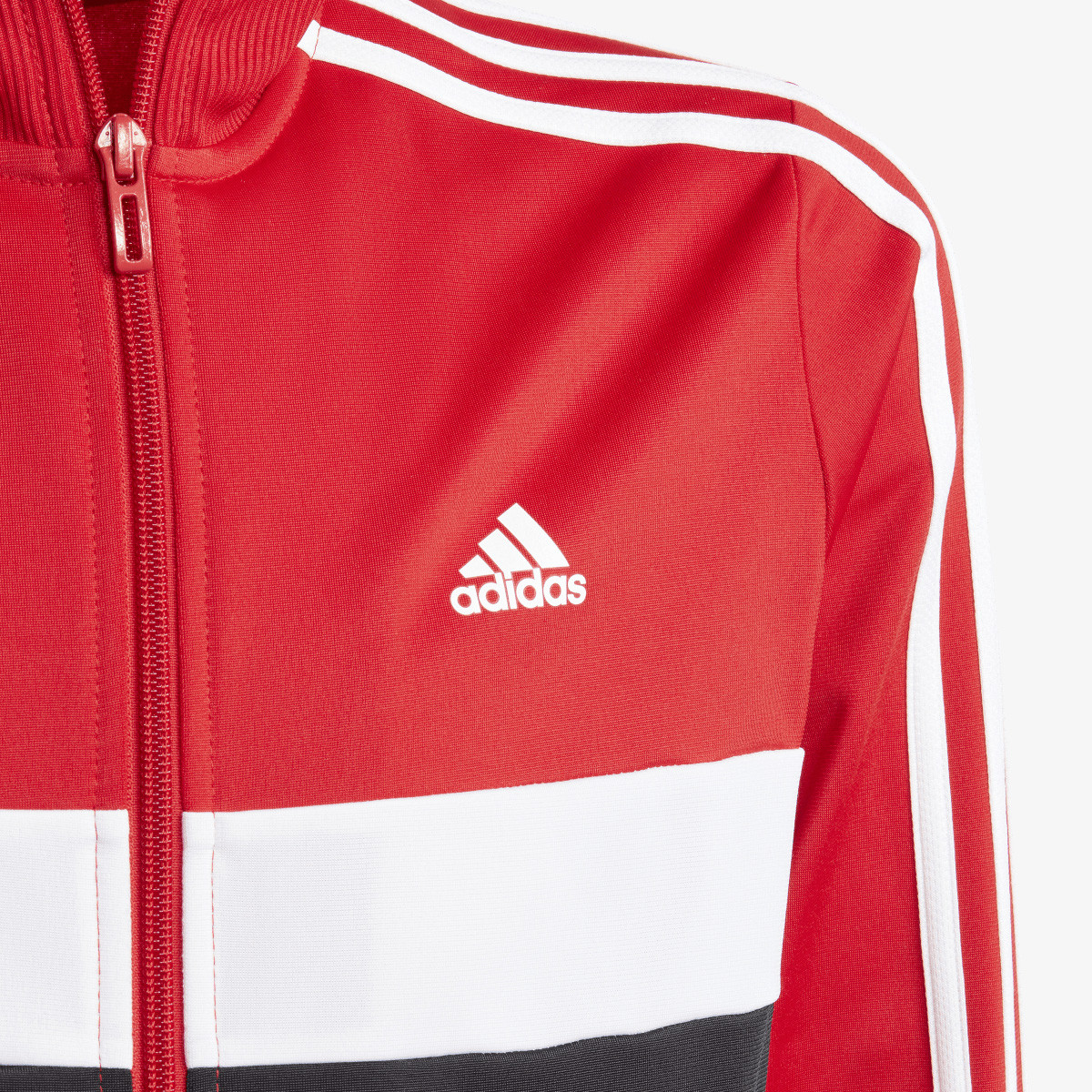 ADIDAS Trenerka Essentials Tiberio