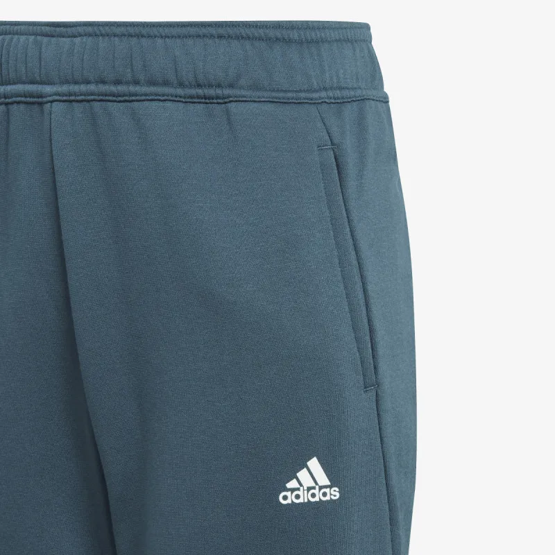 ADIDAS Donji deo trenerke Tiberio