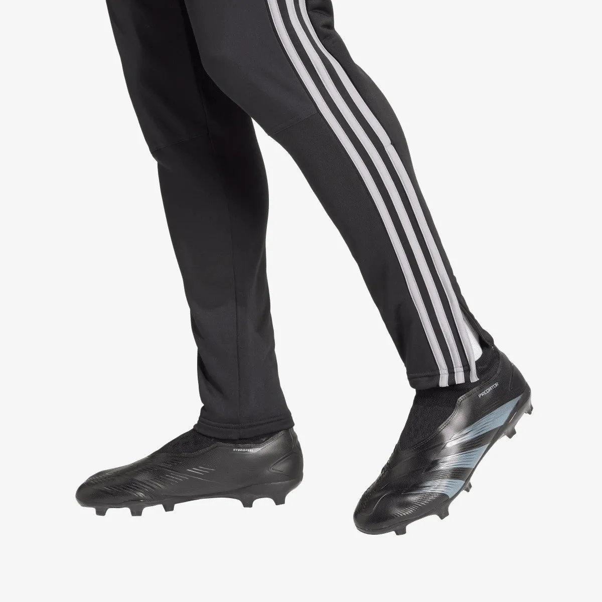 ADIDAS Donji deo trenerke TIRO24 WINPNT