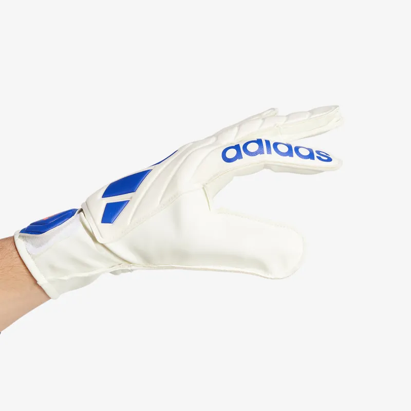 ADIDAS Golmanske rukavice COPA GL CLB 