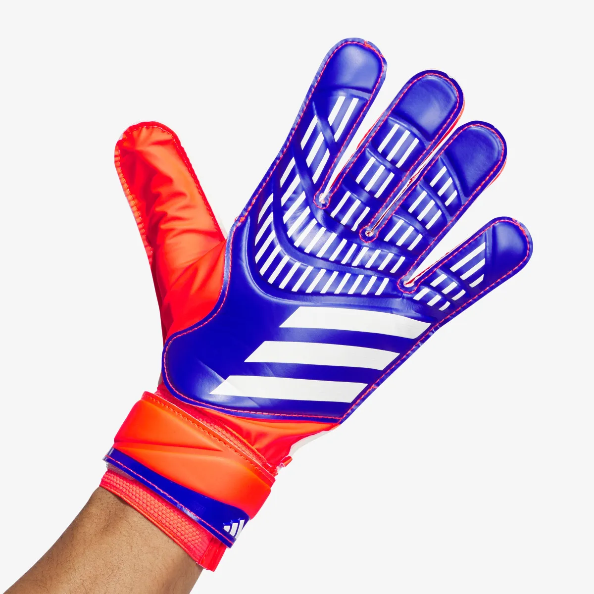 ADIDAS Golmanske rukavice Predator