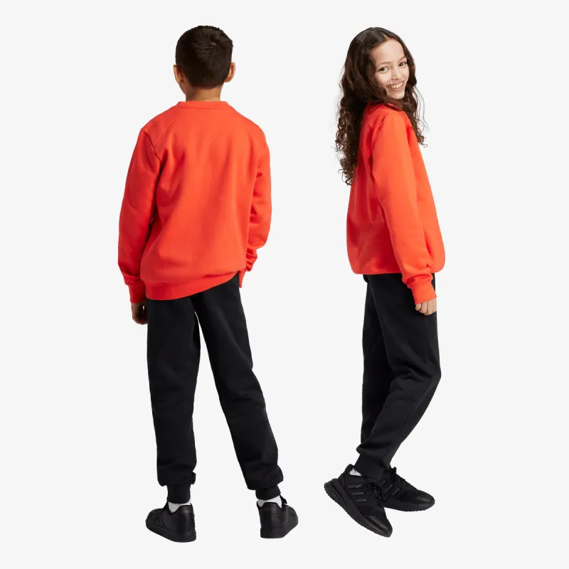 ADIDAS Trenerka J BL FL TS 