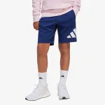 ADIDAS Šorc Big logo 