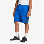 ADIDAS Šorc BOSShortFT 
