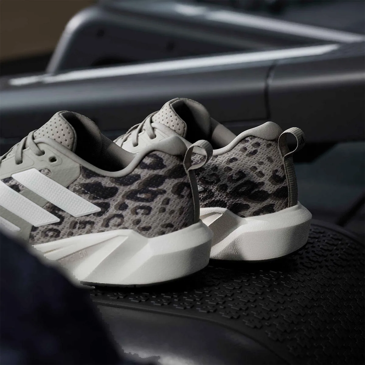 ADIDAS Patike Rapidmove Go 