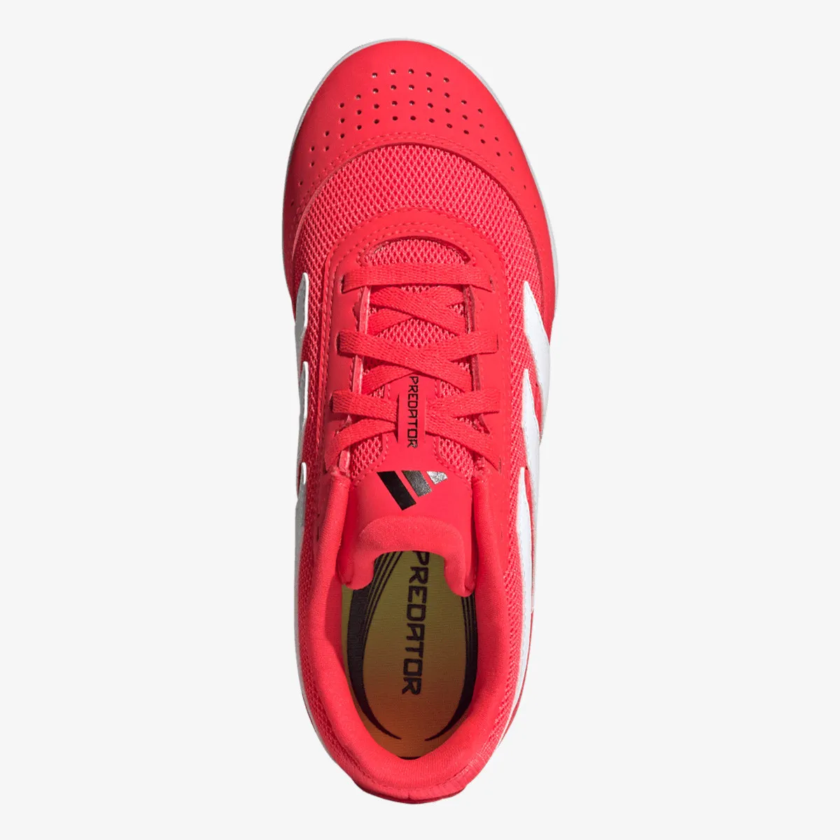 ADIDAS Patike Predator Club In Sala 