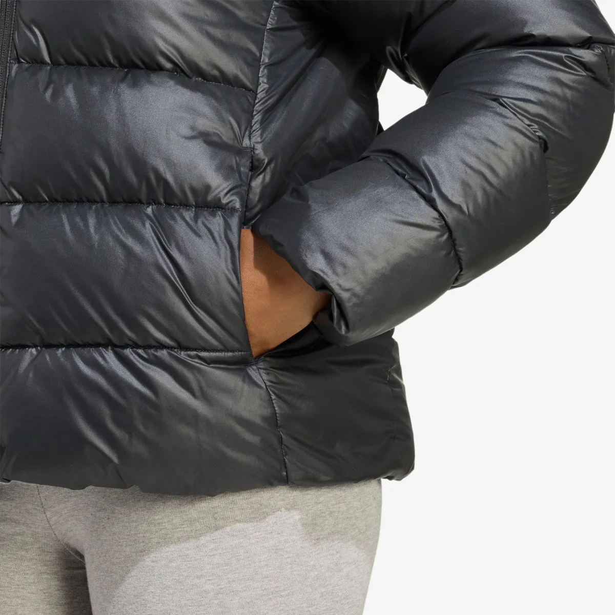 ADIDAS Jakna W ESS SD P HD J 