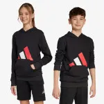 ADIDAS Dukserica J BL FT HD 280 