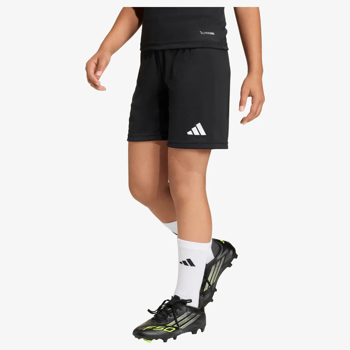 ADIDAS Šorc Entrada26 