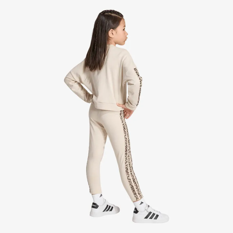 ADIDAS Trenerka LG AN 3S SET 