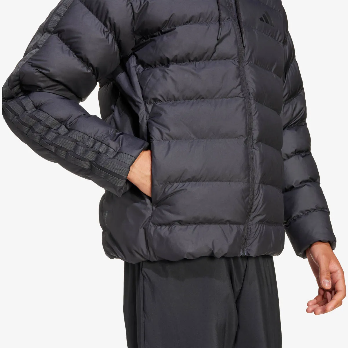 ADIDAS Jakna ESS 3S SD HD JK 