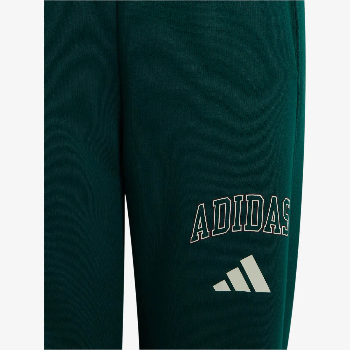 ADIDAS Donji deo trenerke J CLGT FL PNT 