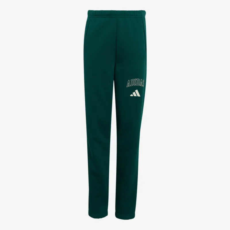 ADIDAS Donji deo trenerke J CLGT FL PNT 