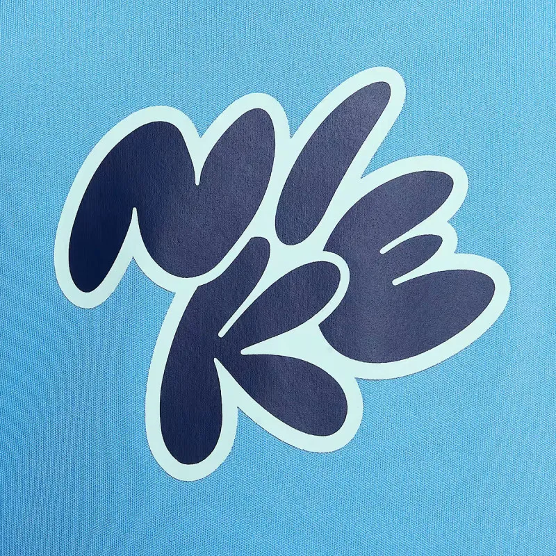 NIKE Majica dugih rukava Long Sleeve Hydroguard 