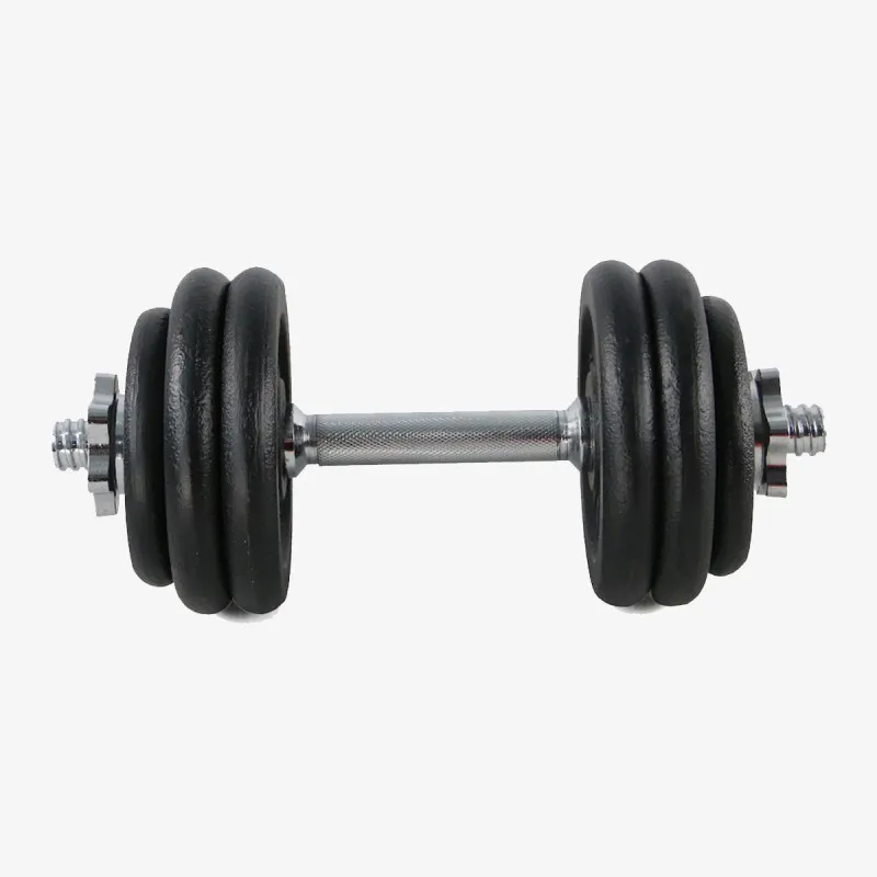 RING SPORT Teg Cast Dumbbell 