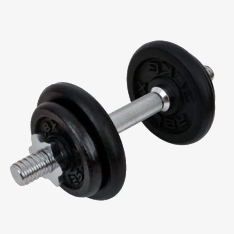 RING SPORT Teg Cast Dumbbell 