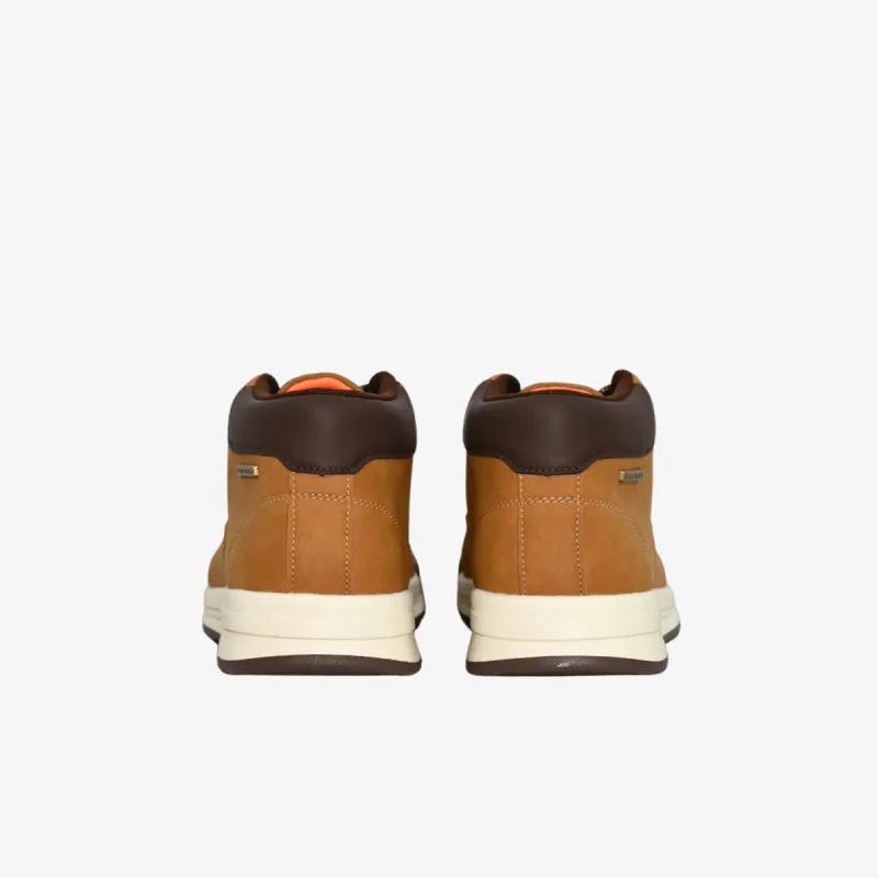 SERGIO TACCHINI Cipele VALLEY NBX 