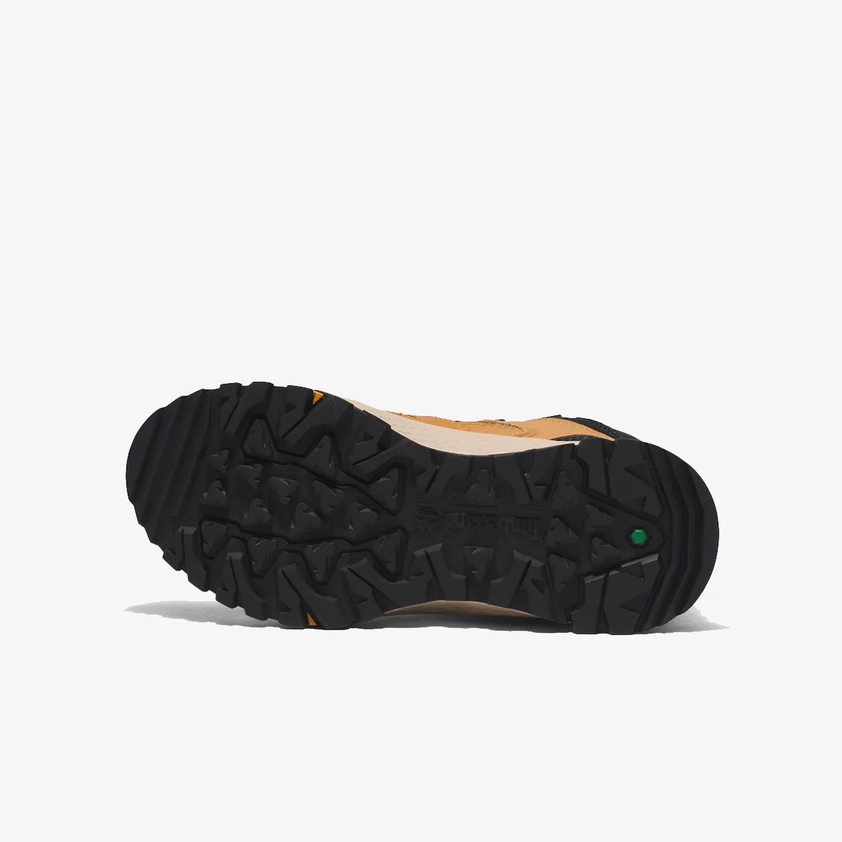 TIMBERLAND Cipele Lincoln Peak