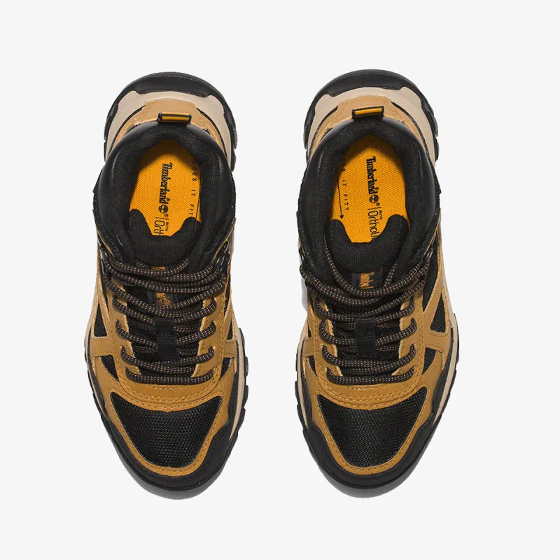 TIMBERLAND Cipele Lincoln Peak