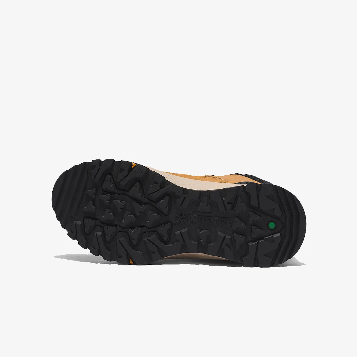 TIMBERLAND Cipele Lincoln Peak