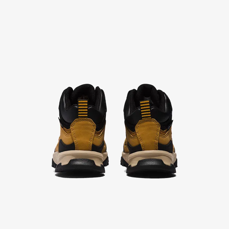 TIMBERLAND Cipele Lincoln Peak 